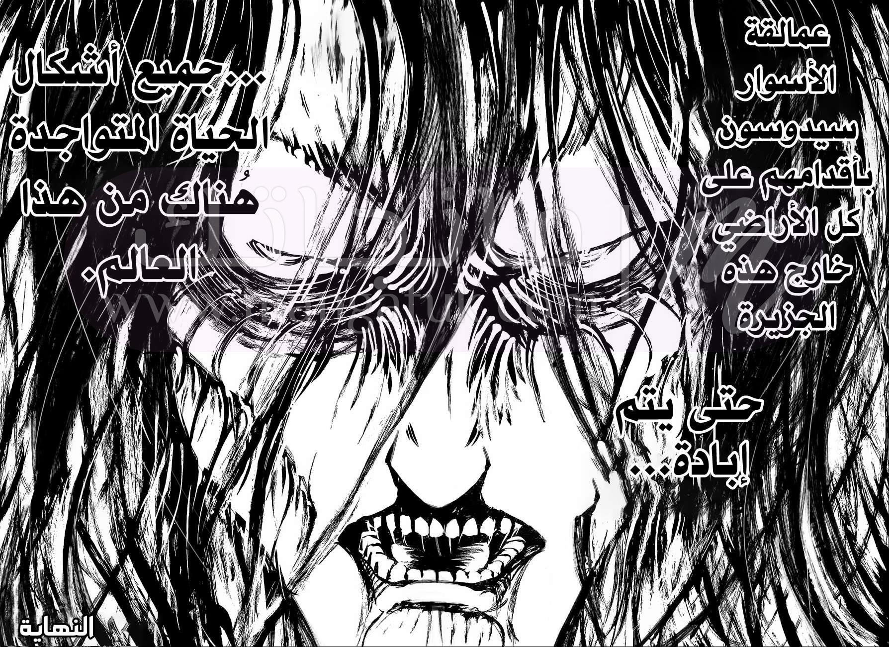 الصفحة 41