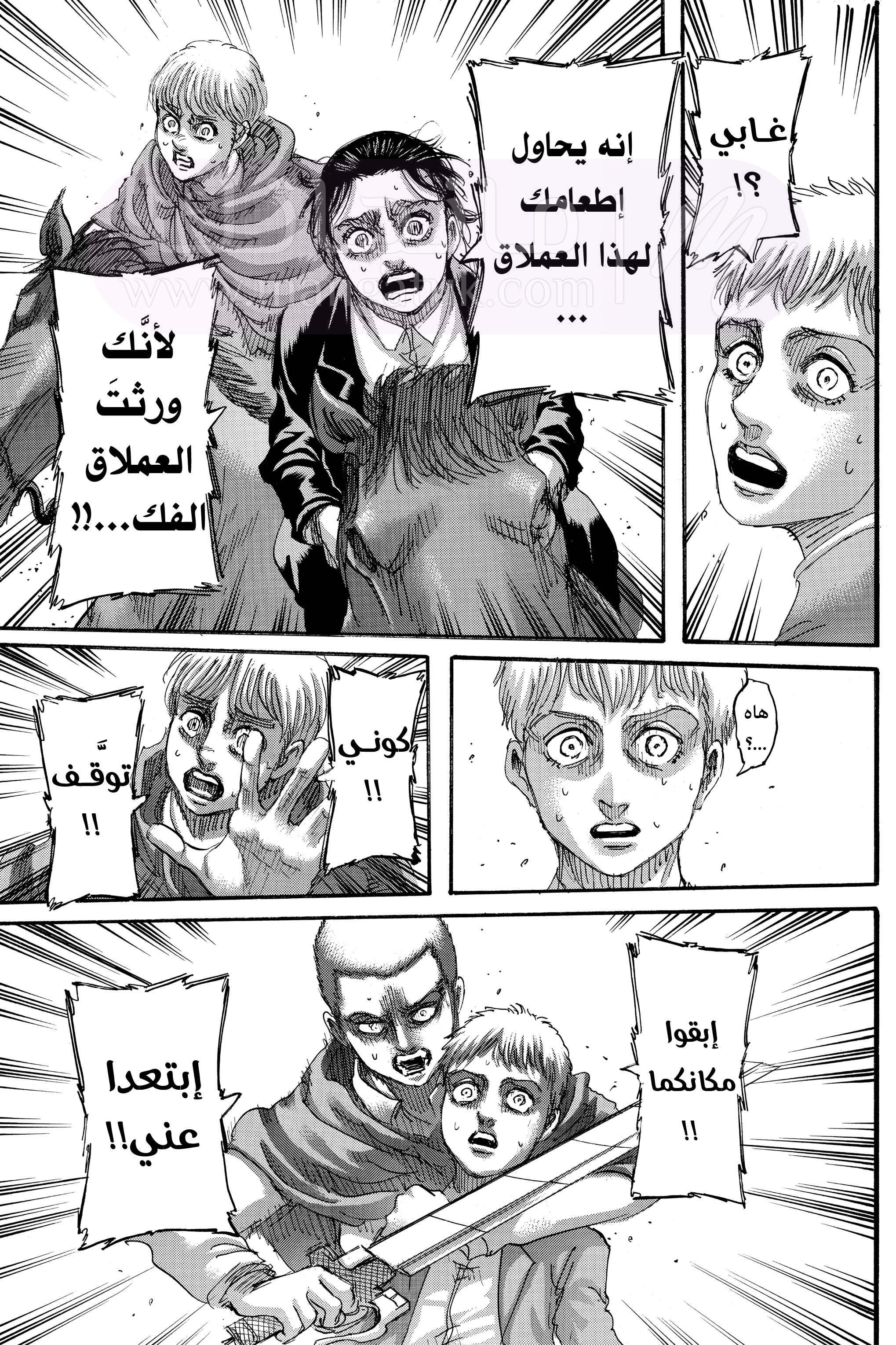 الصفحة 17