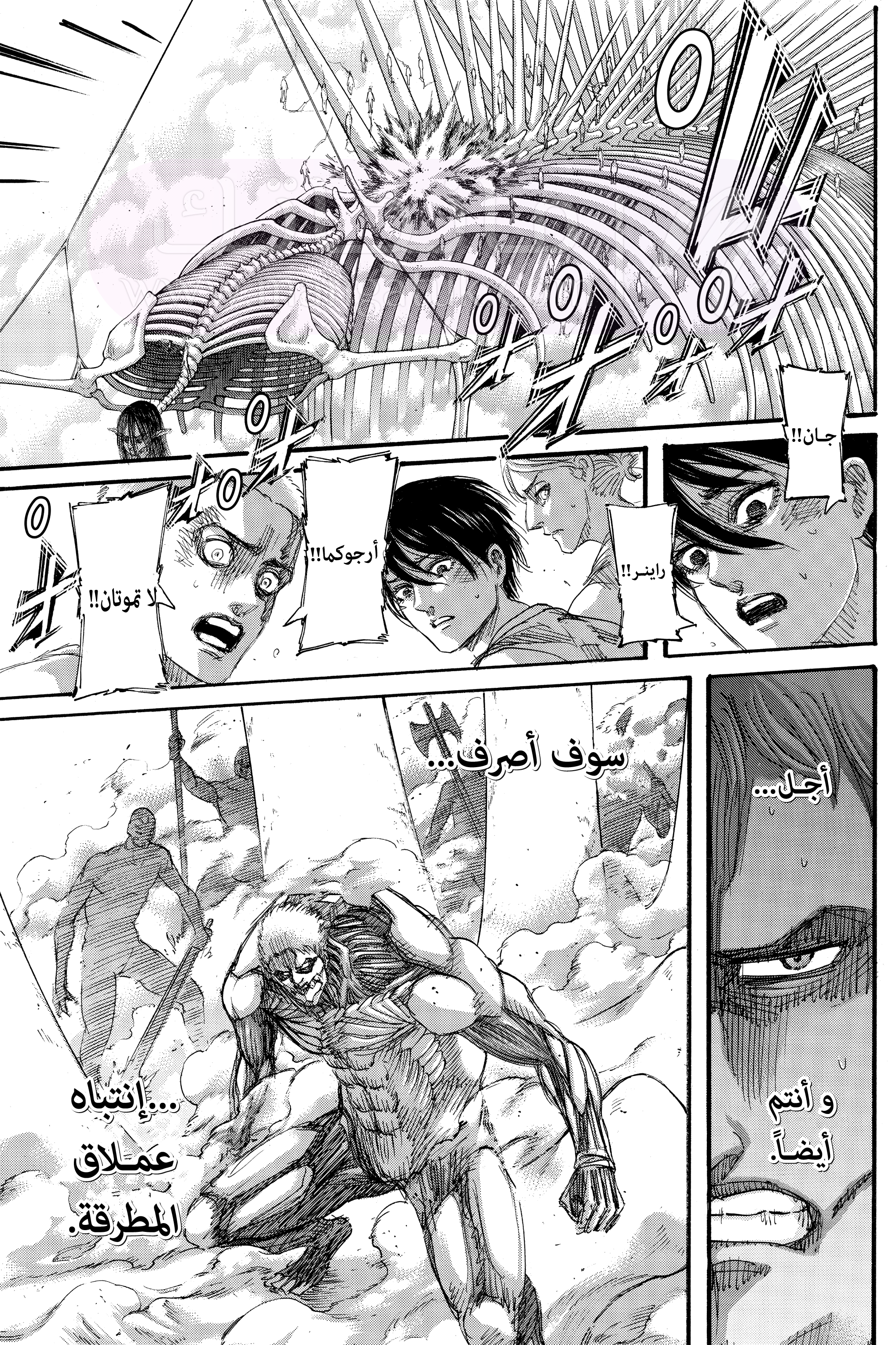 الصفحة 17