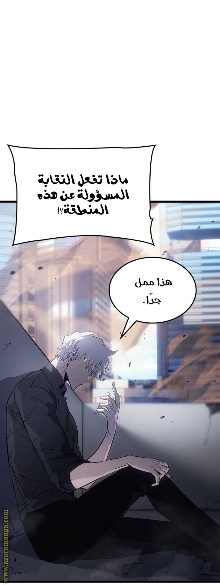 الصفحة 27