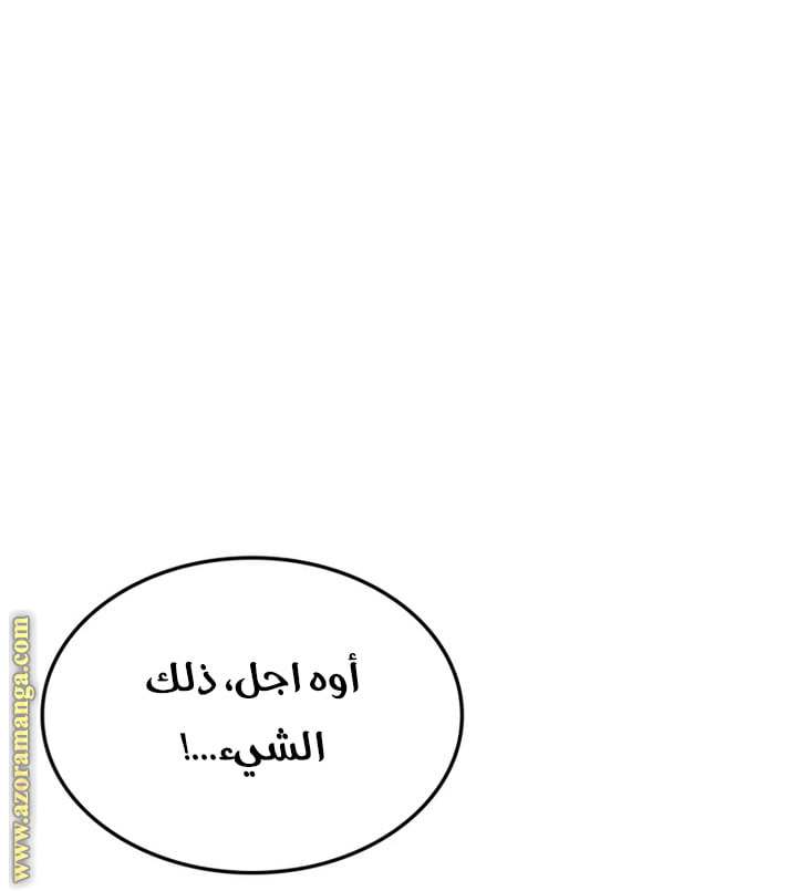 الصفحة 45