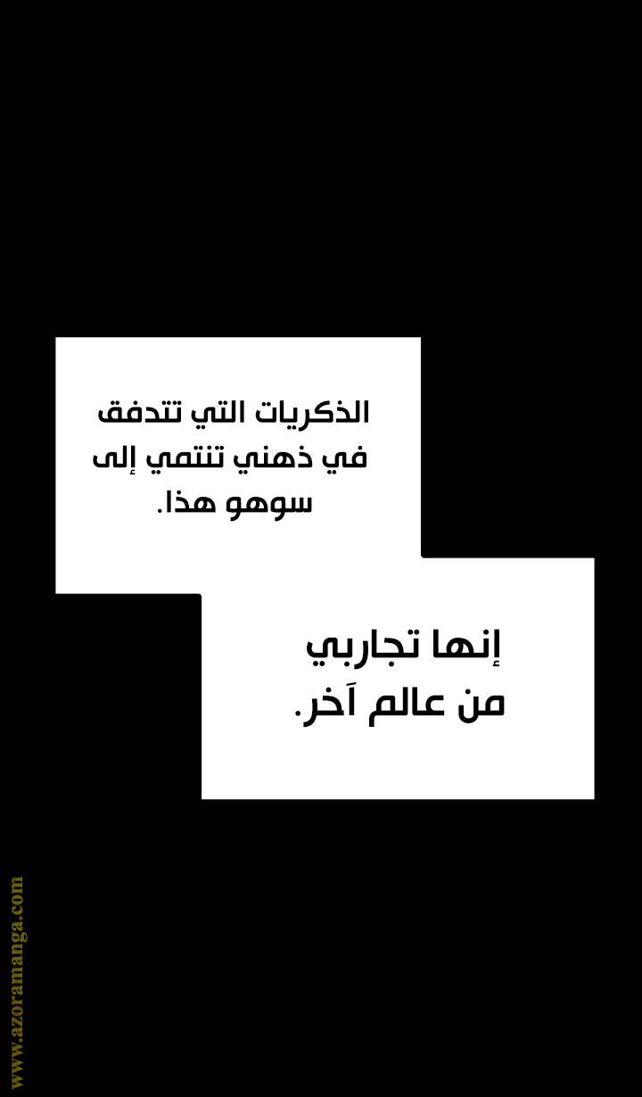 الصفحة 42