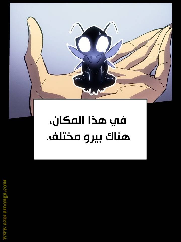 الصفحة 43
