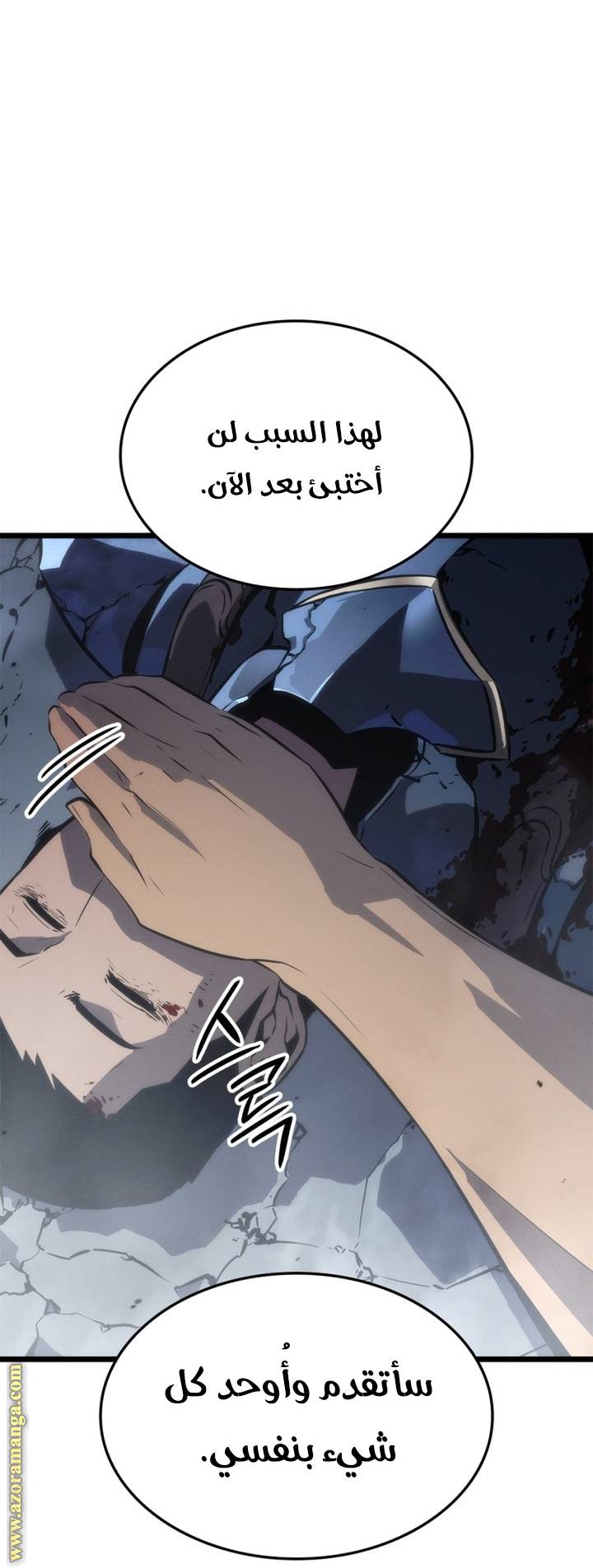 الصفحة 41