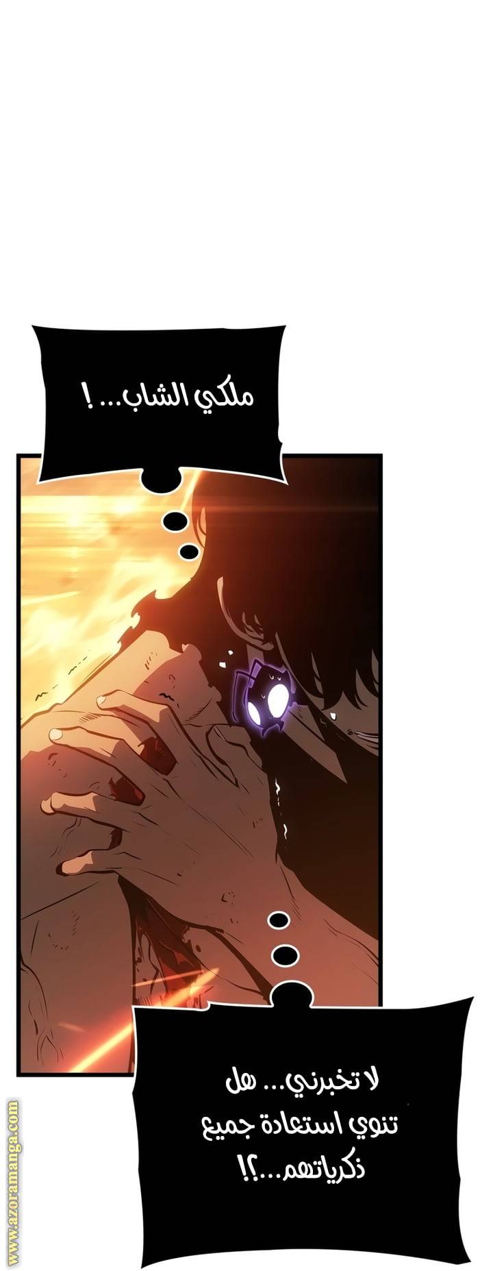 الصفحة 30