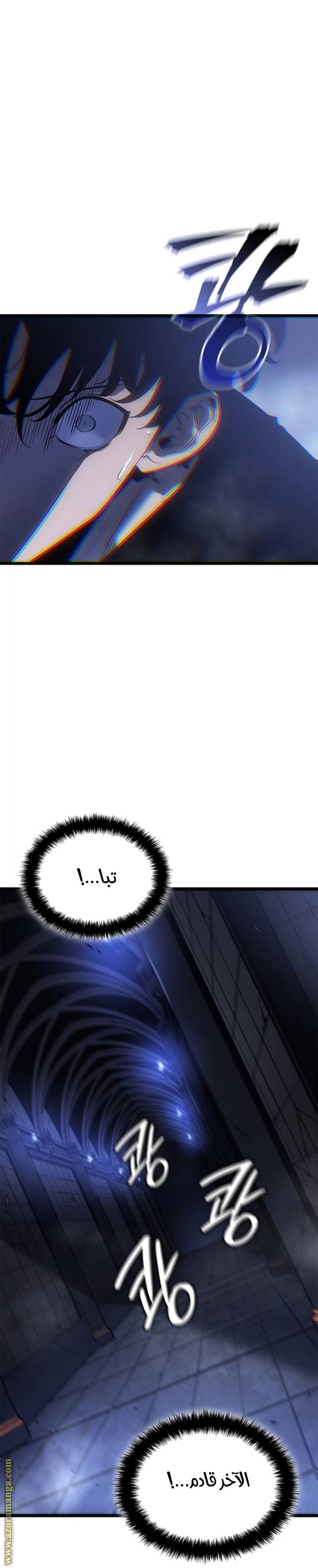 الصفحة 29