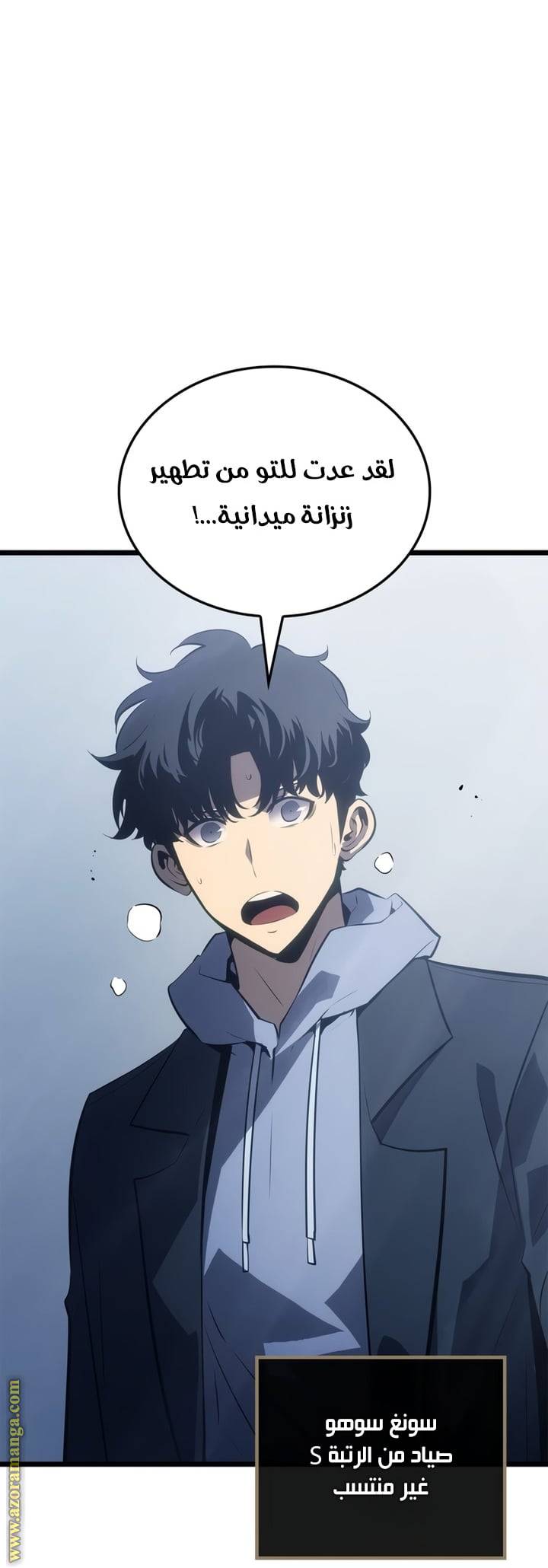الصفحة 48