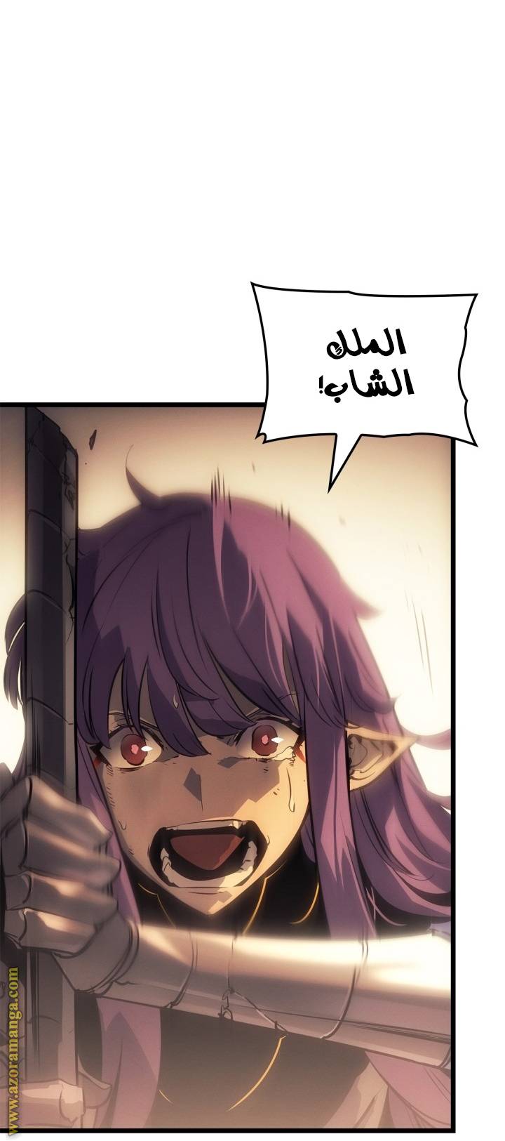 الصفحة 49