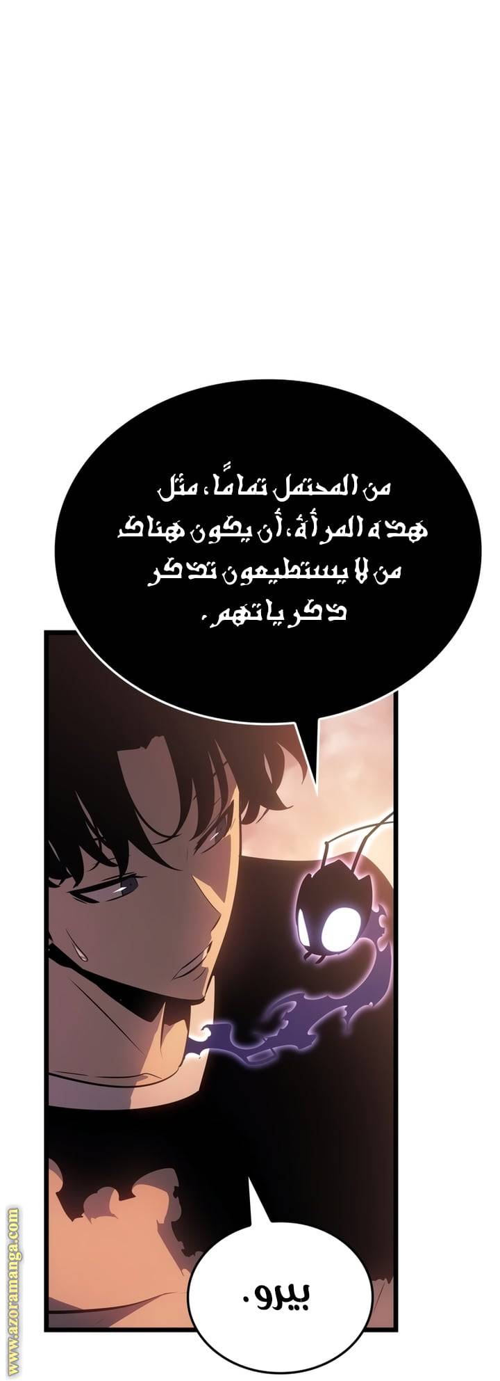الصفحة 21