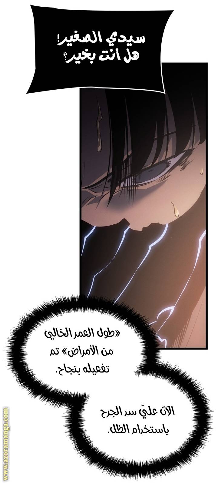 الصفحة 75