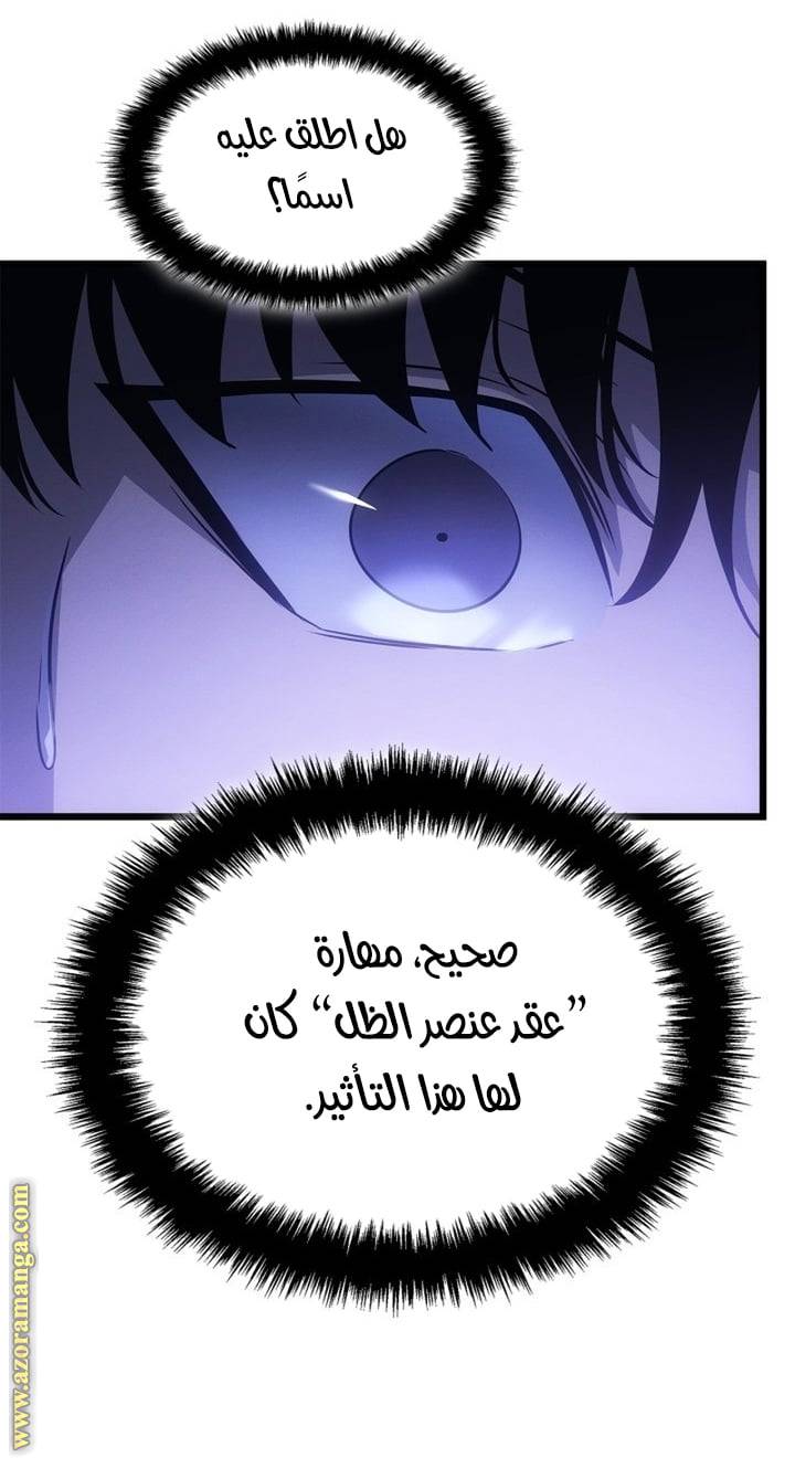 الصفحة 46