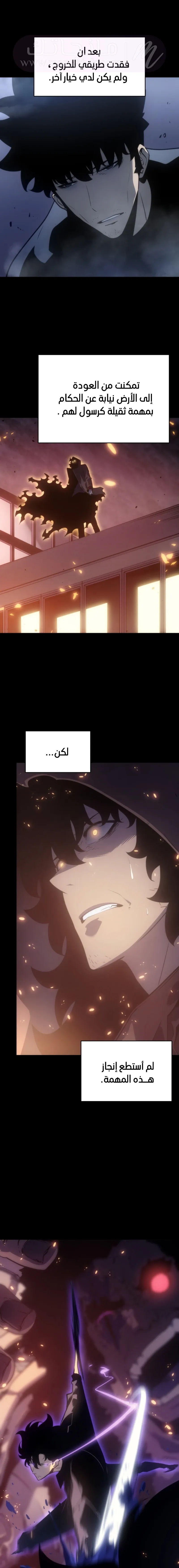 الصفحة 3