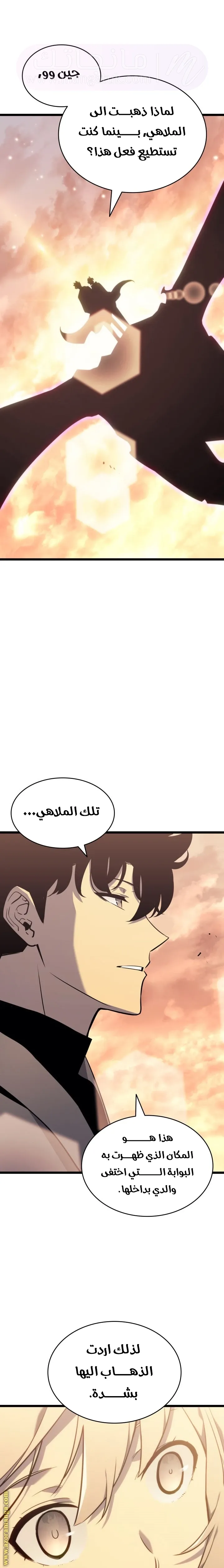 الصفحة 13