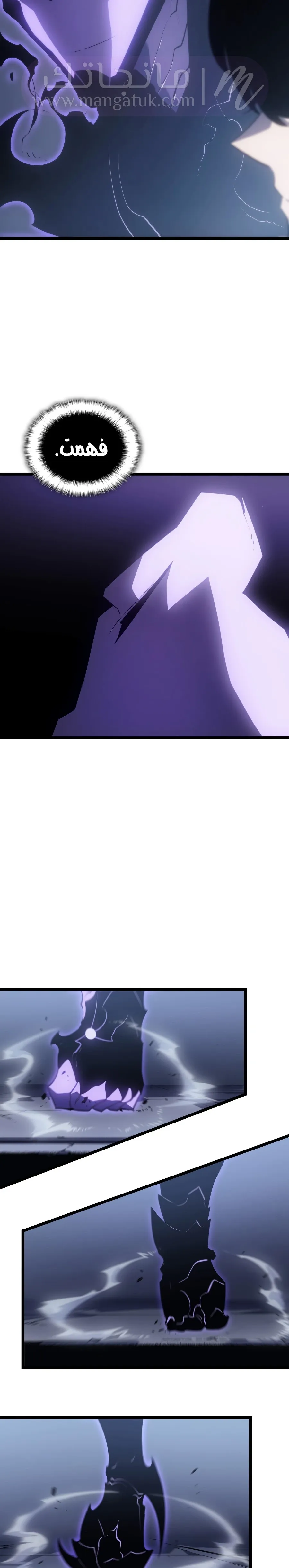 الصفحة 17