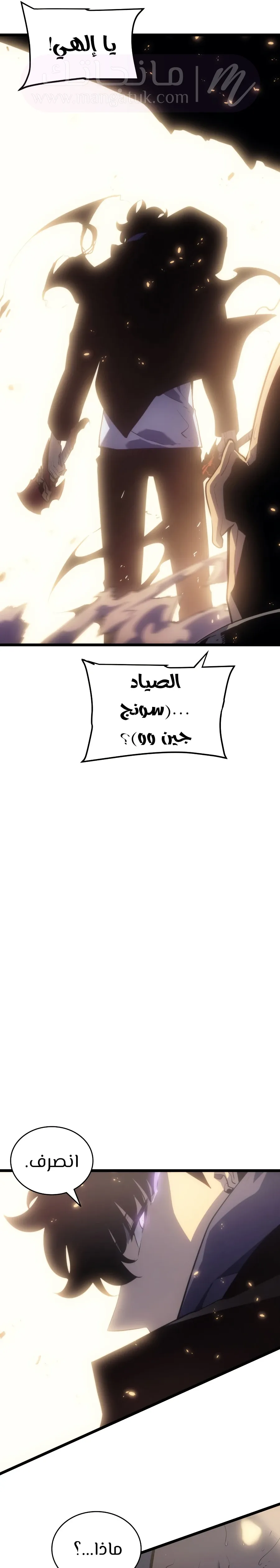 الصفحة 31
