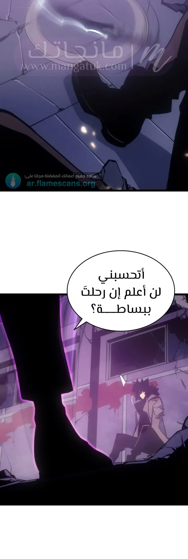 الصفحة 43
