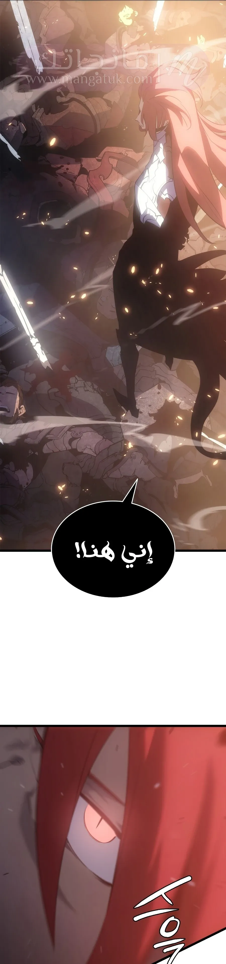الصفحة 31