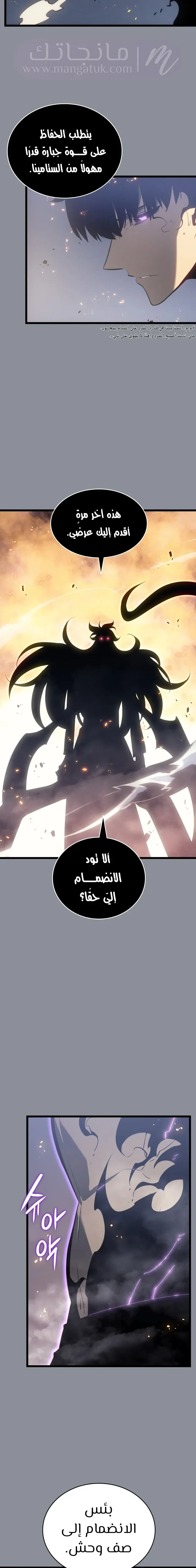 الصفحة 17