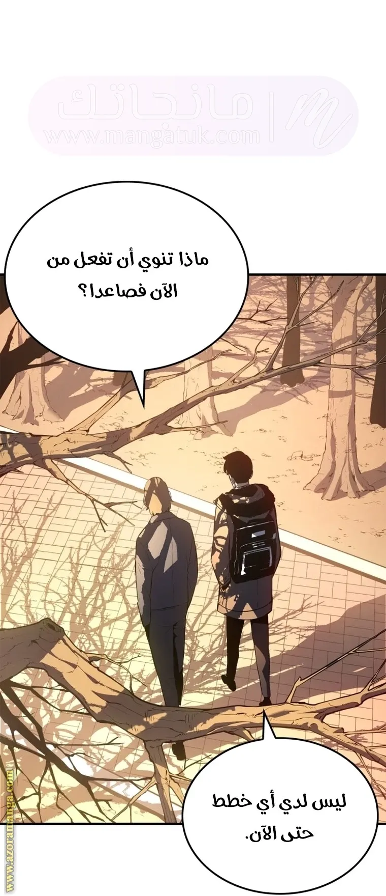 الصفحة 39