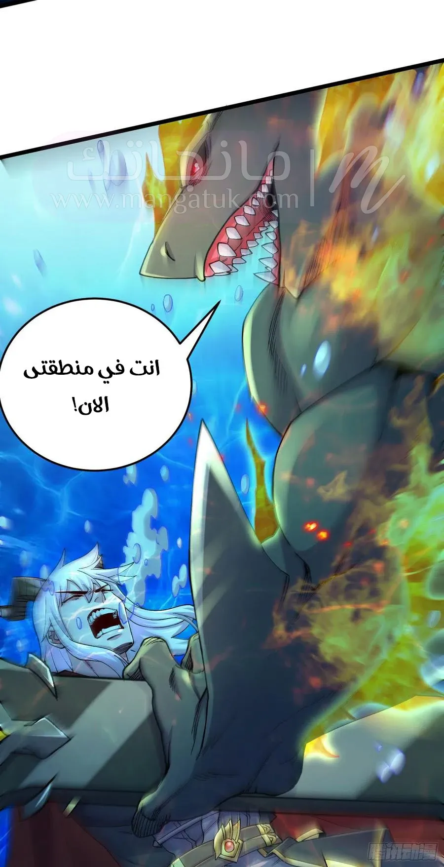الصفحة 11