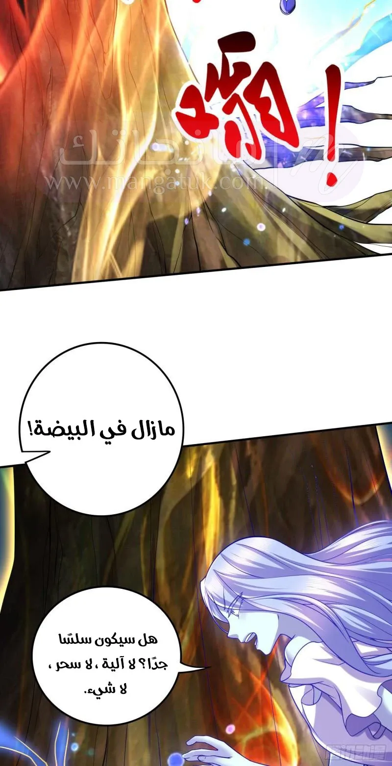 الصفحة 26