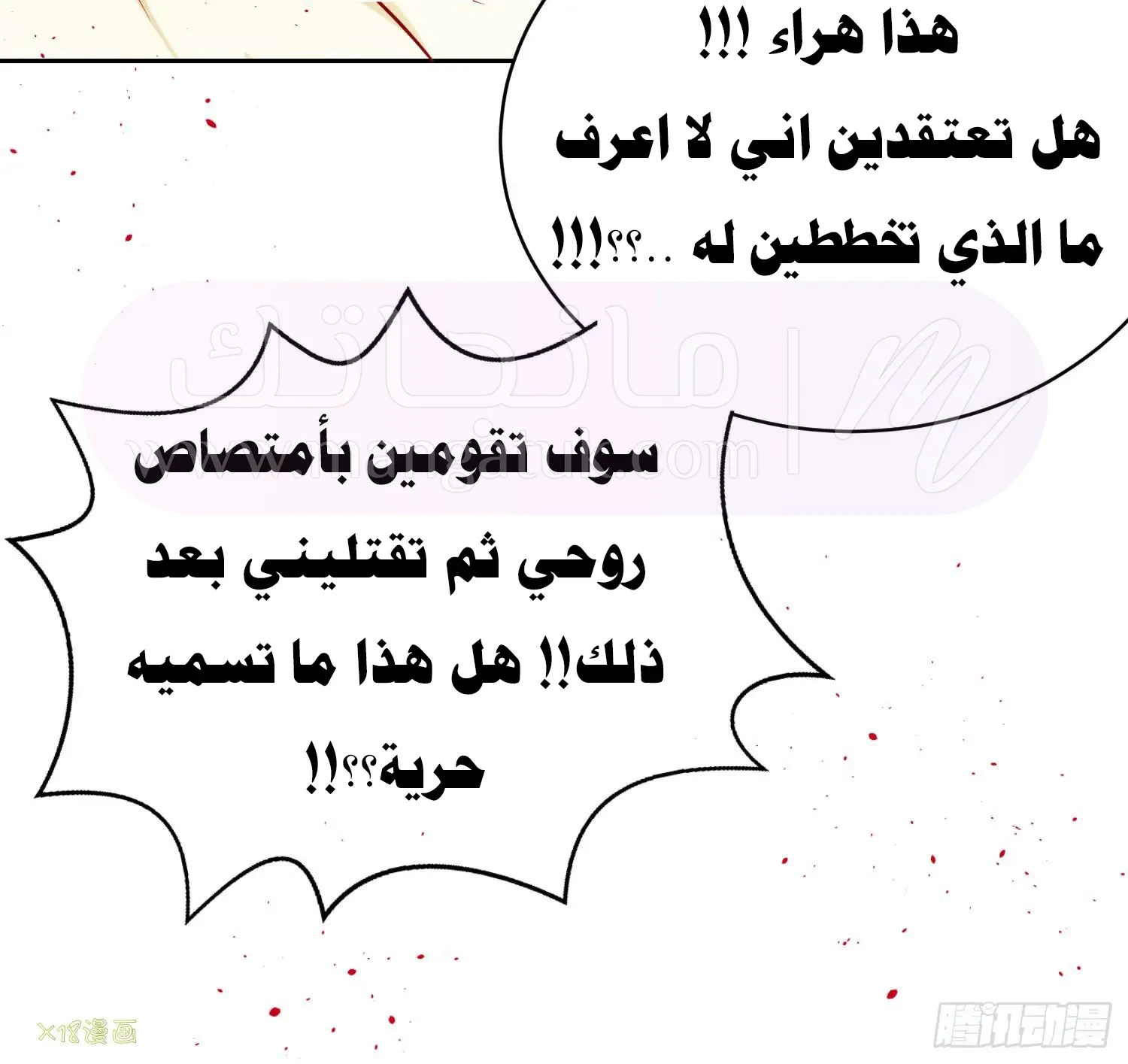 الصفحة 10