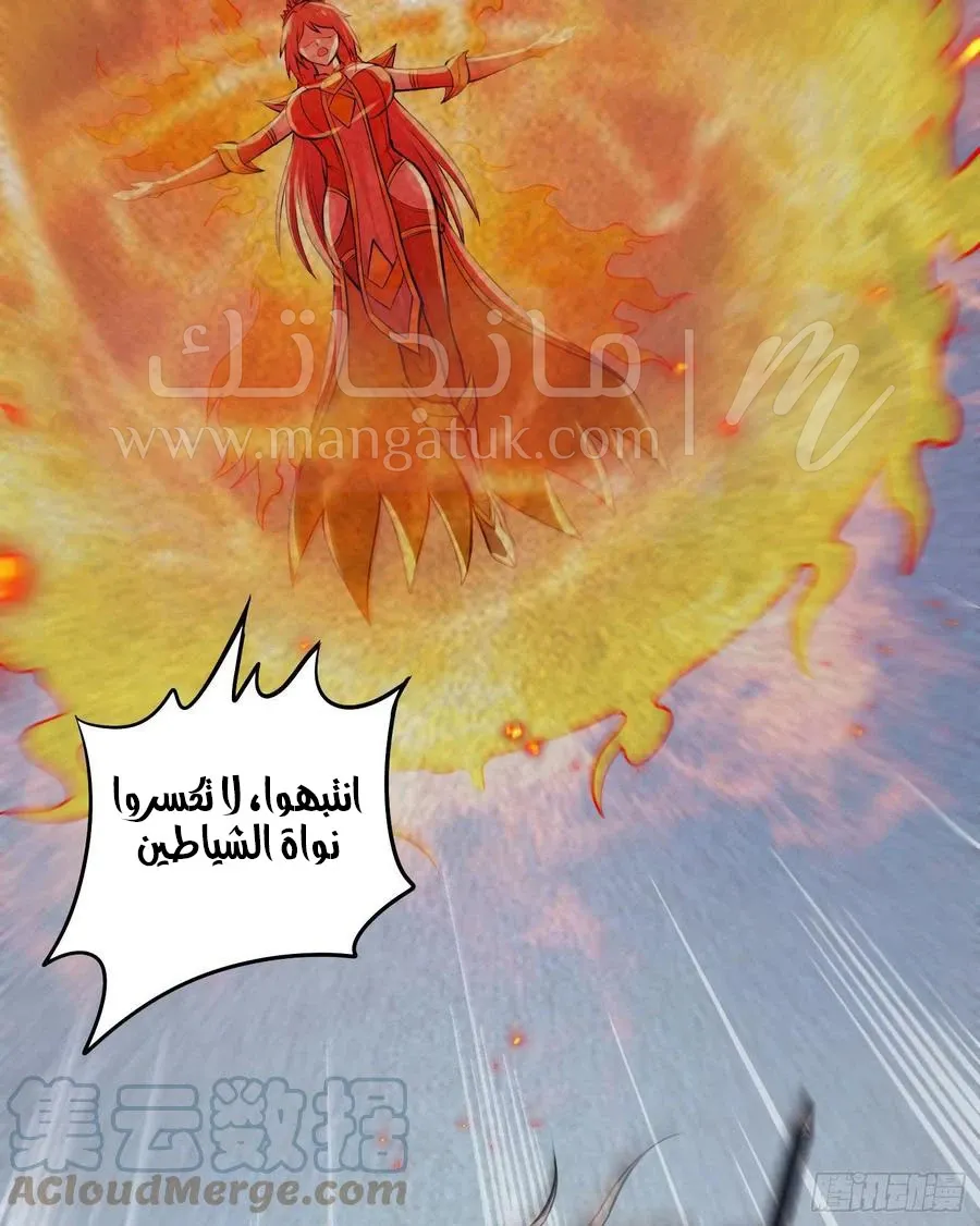 الصفحة 17