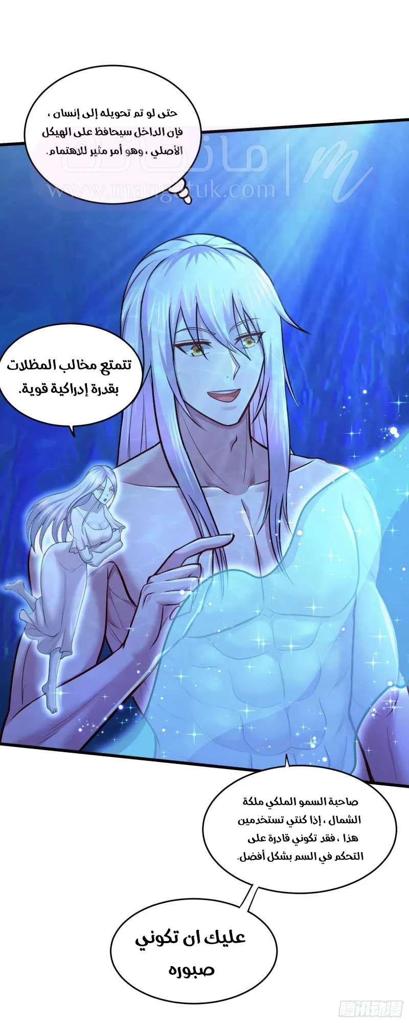 الصفحة 13