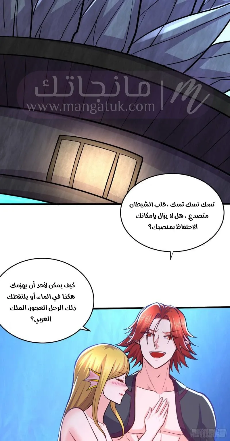 الصفحة 17
