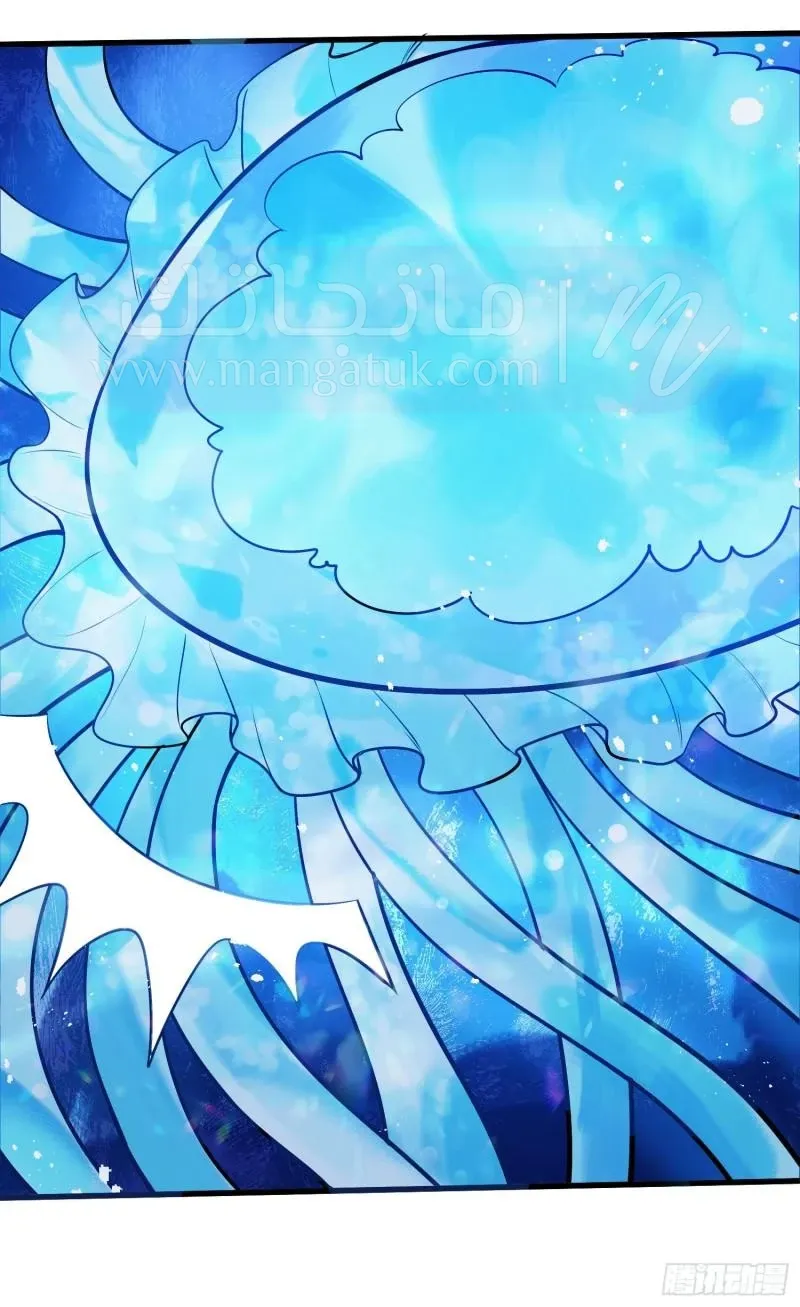 الصفحة 24