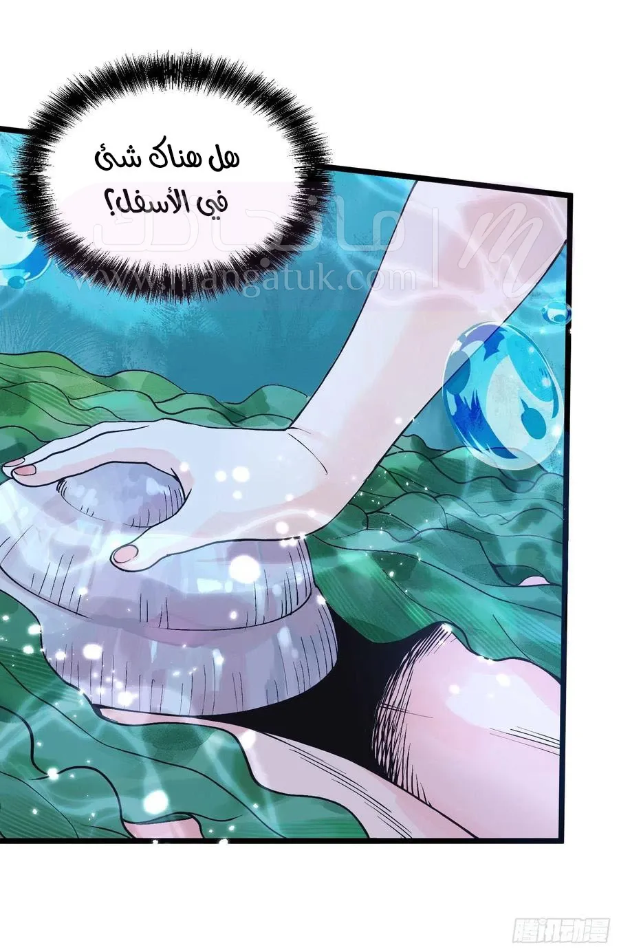 الصفحة 13