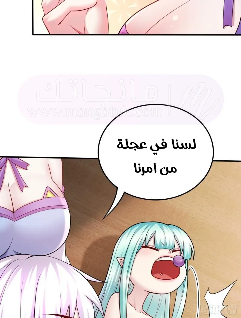 الصفحة 27