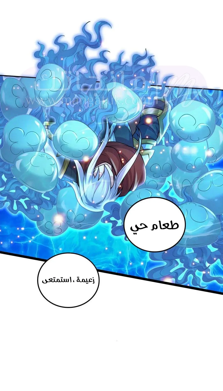 الصفحة 27
