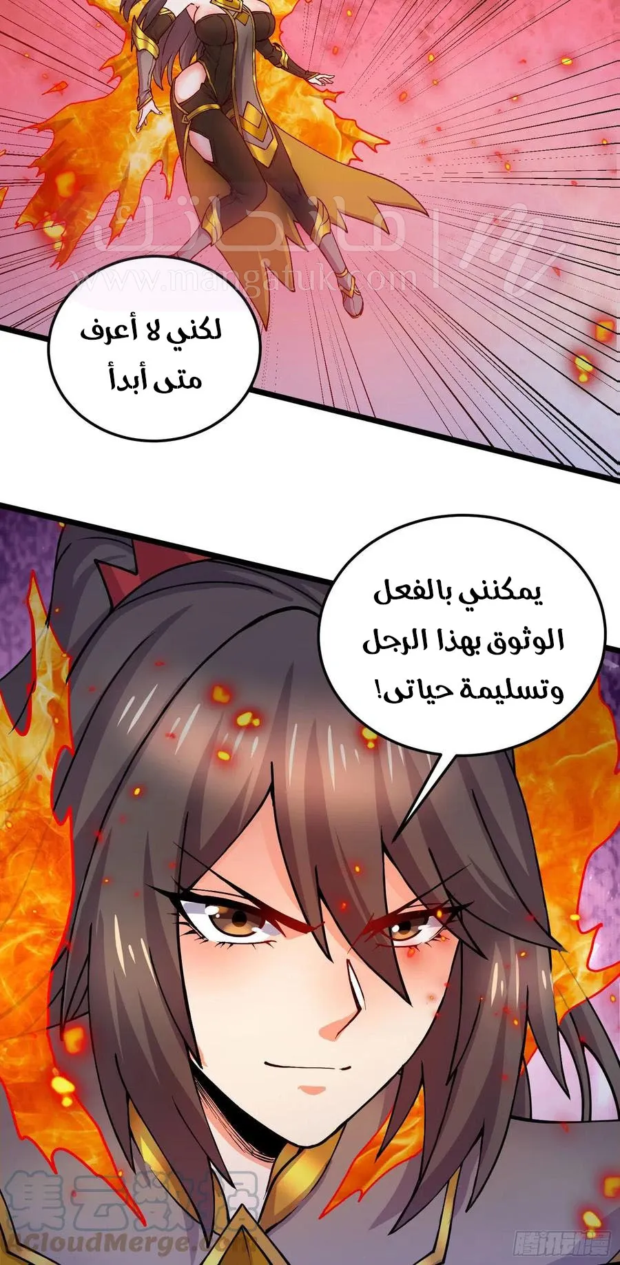 الصفحة 17