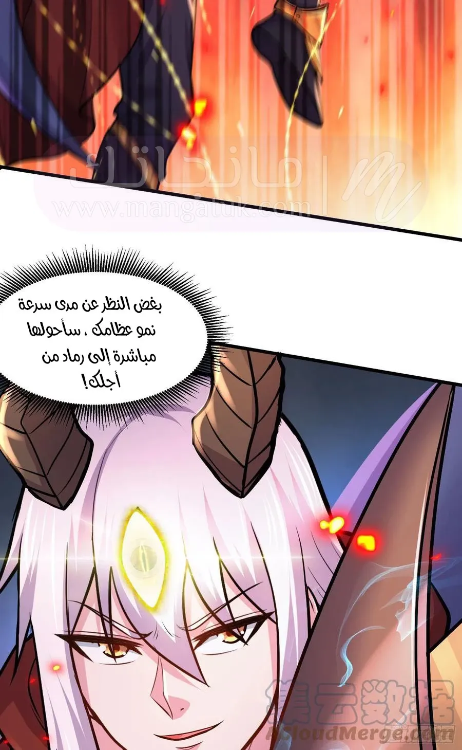 الصفحة 29