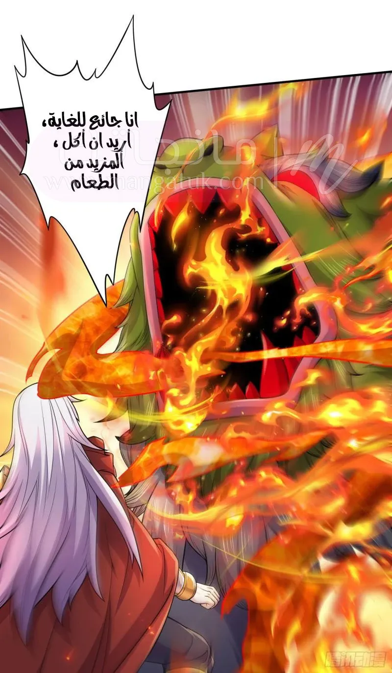 الصفحة 3
