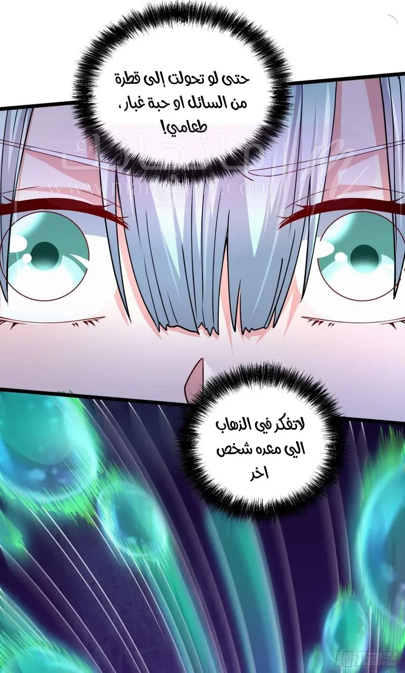 الصفحة 25