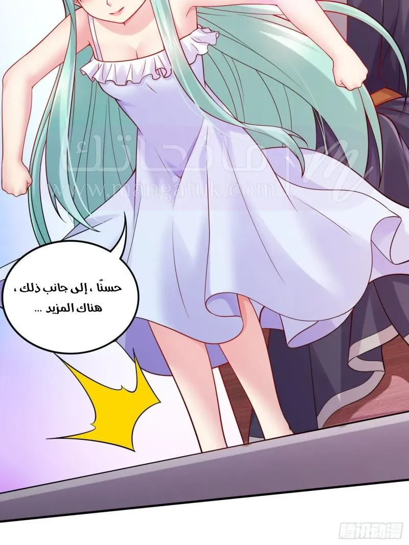 الصفحة 29