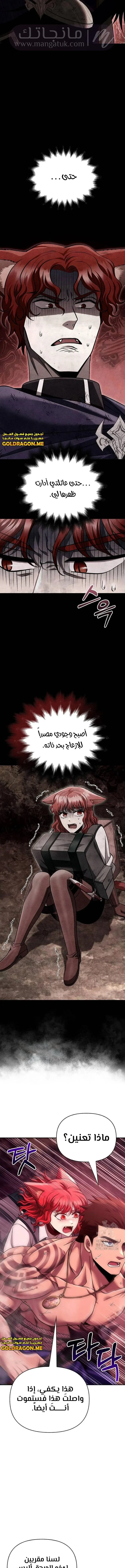 الصفحة 14