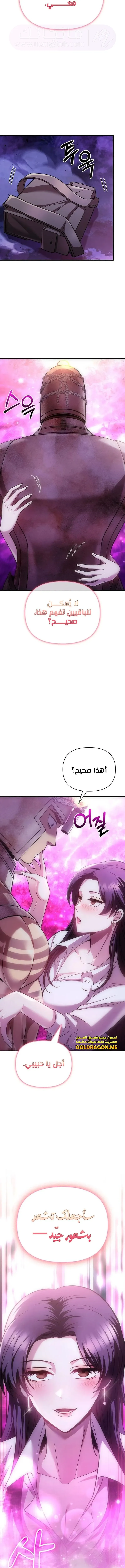 الصفحة 13