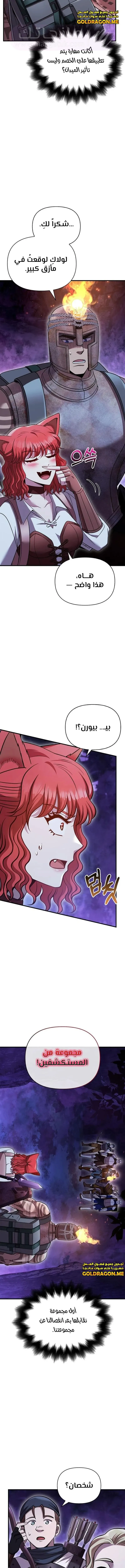 الصفحة 17