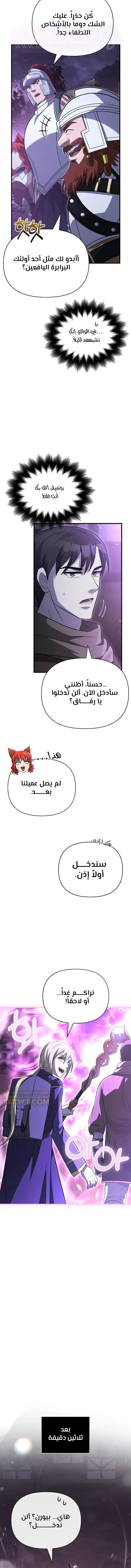 الصفحة 17