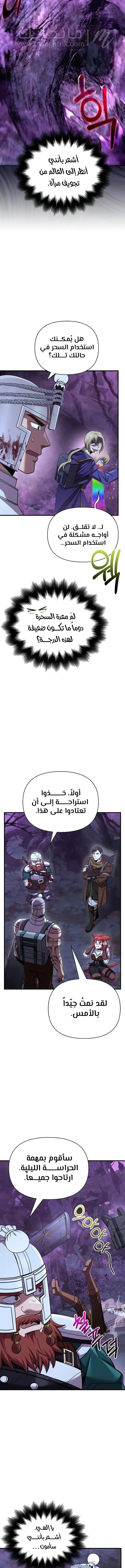 الصفحة 13