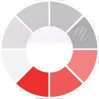 الصفحة 21