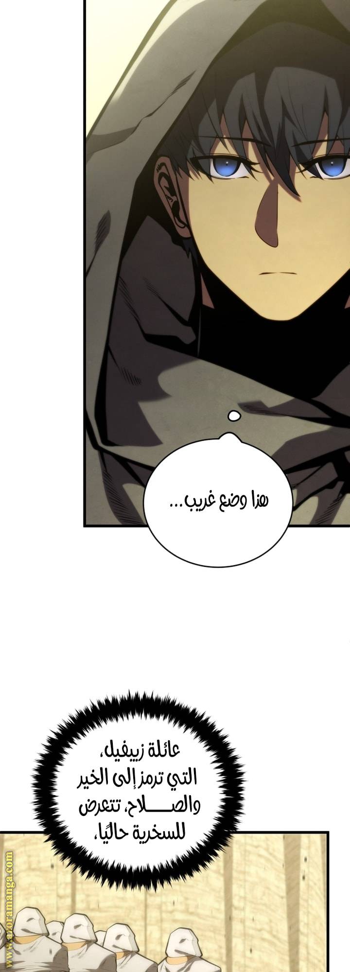 الصفحة 13