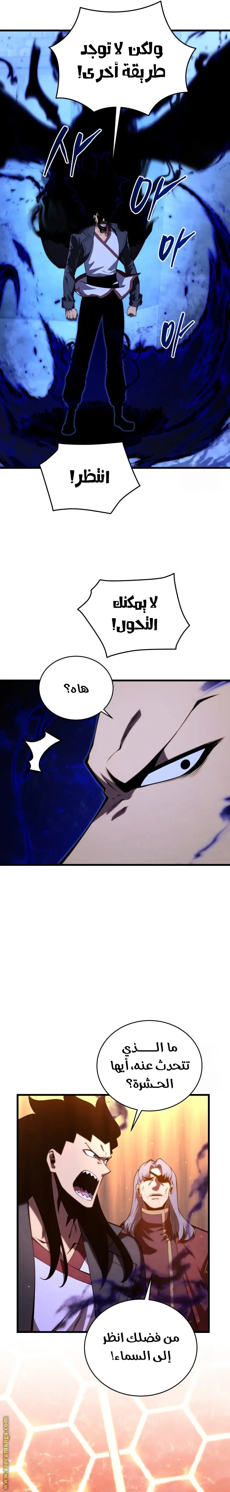 الصفحة 13