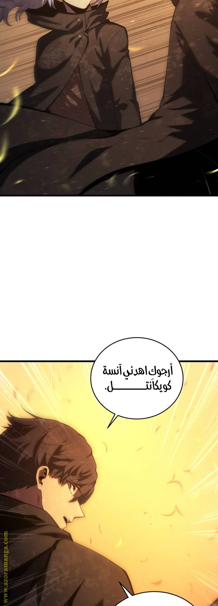 الصفحة 3
