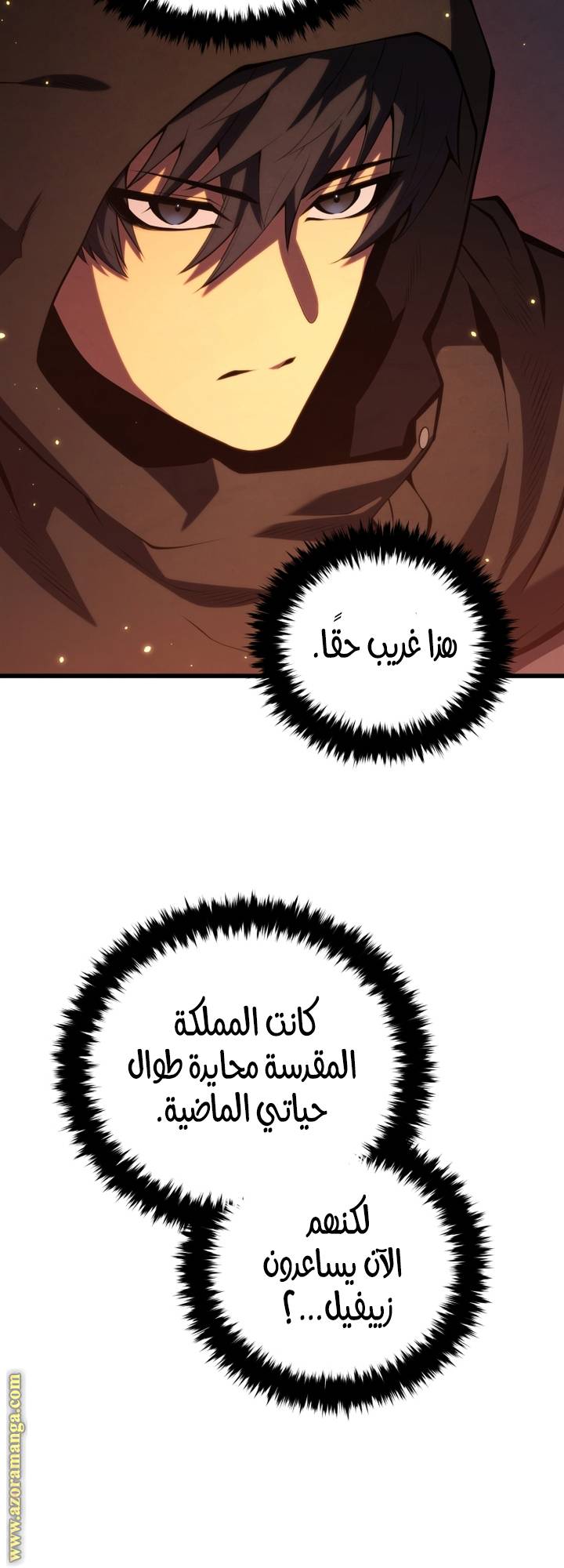 الصفحة 16