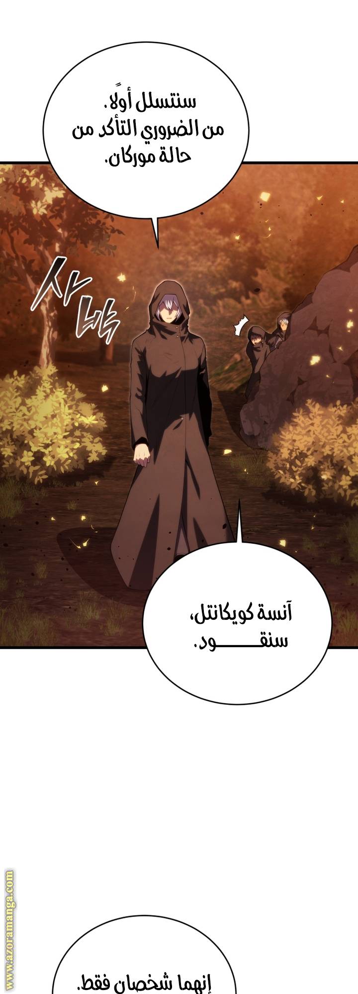 الصفحة 17