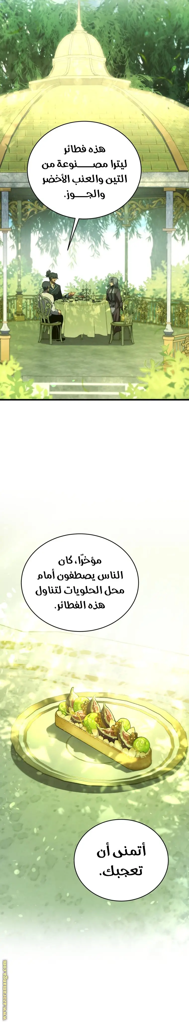 الصفحة 30